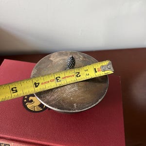 May include: Silver lid with a small, textured, cone-shaped knob on top. The lid is 5 cm in diameter. The lid is sitting on top of a stack of red books.