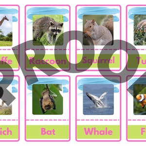 Schede di abbinamento dei nomi degli animali / Foto di animali / Gioco di abbinamento stampabile / Sviluppo del vocabolario / Istruzione parentale / Scuola materna / Download digitale