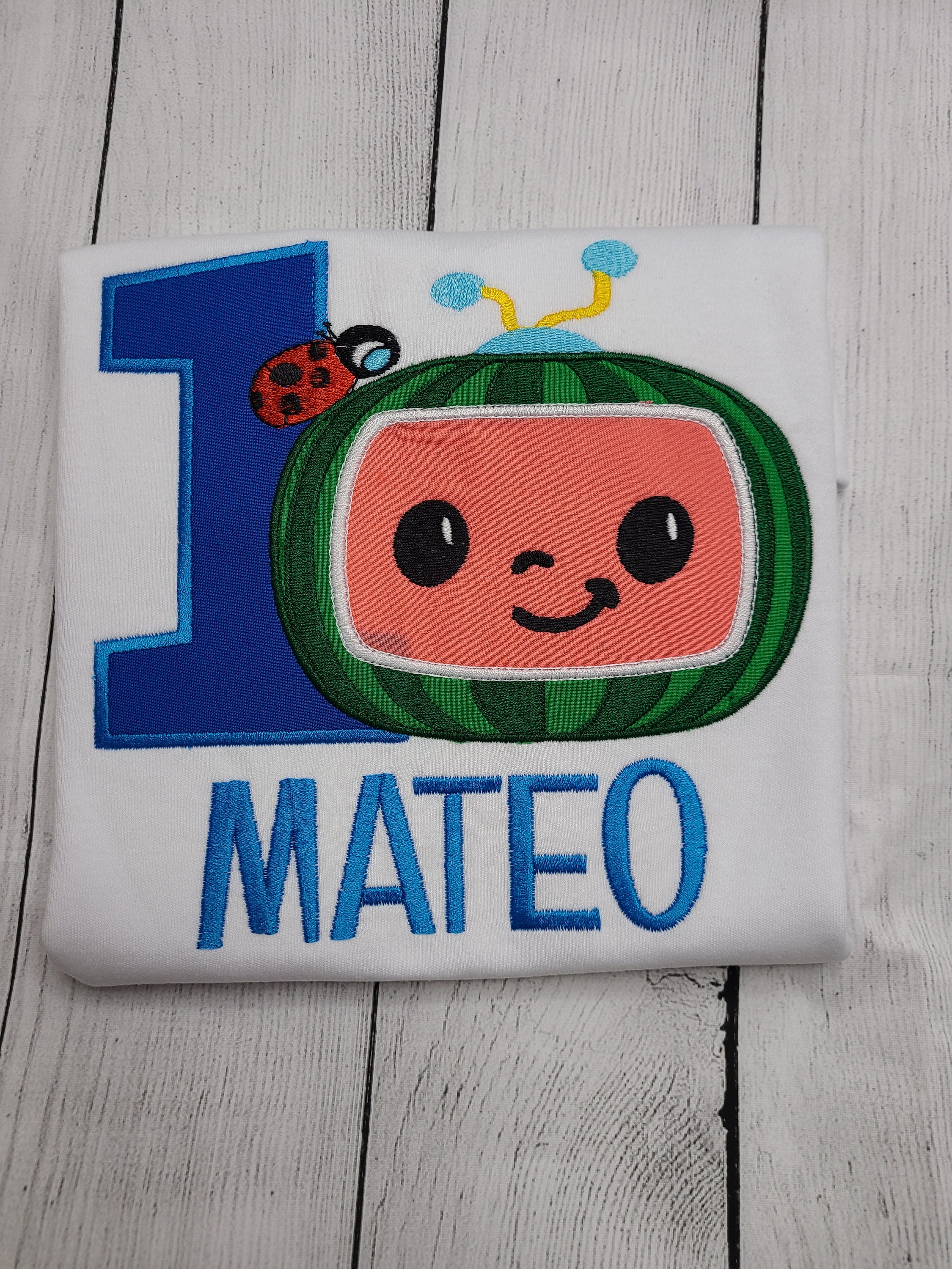 Cocomelon Birthday Theme Party Shirt/ Personalized Birthday - Etsy