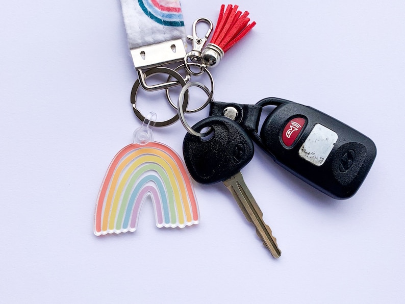 Conservation Rainbow Keychain Acrylic Keychain Boho Rainbow Acrylic Keychain