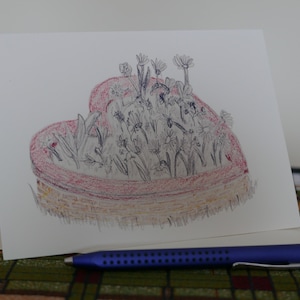 Canteiro de flores de coração ilustrado cartão em branco, Dia dos Namorados, Aniversário, Amor, Casamento, Aniversário