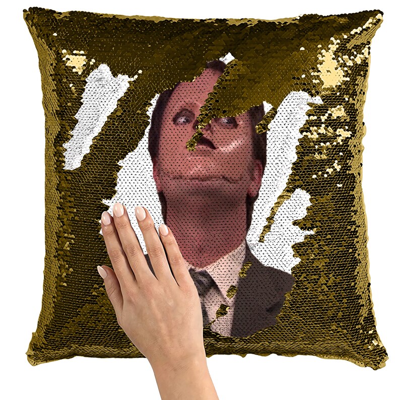 dwight schrute pillow sequin