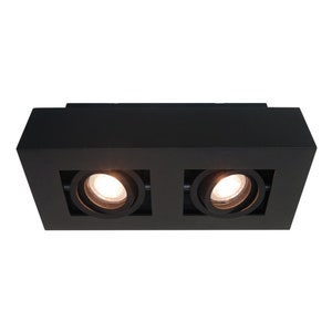 Può includere: Lampada da soffitto nera con due lampadine rotonde. La lampada ha una forma rettangolare con un ritaglio quadrato attorno a ciascuna lampadina.