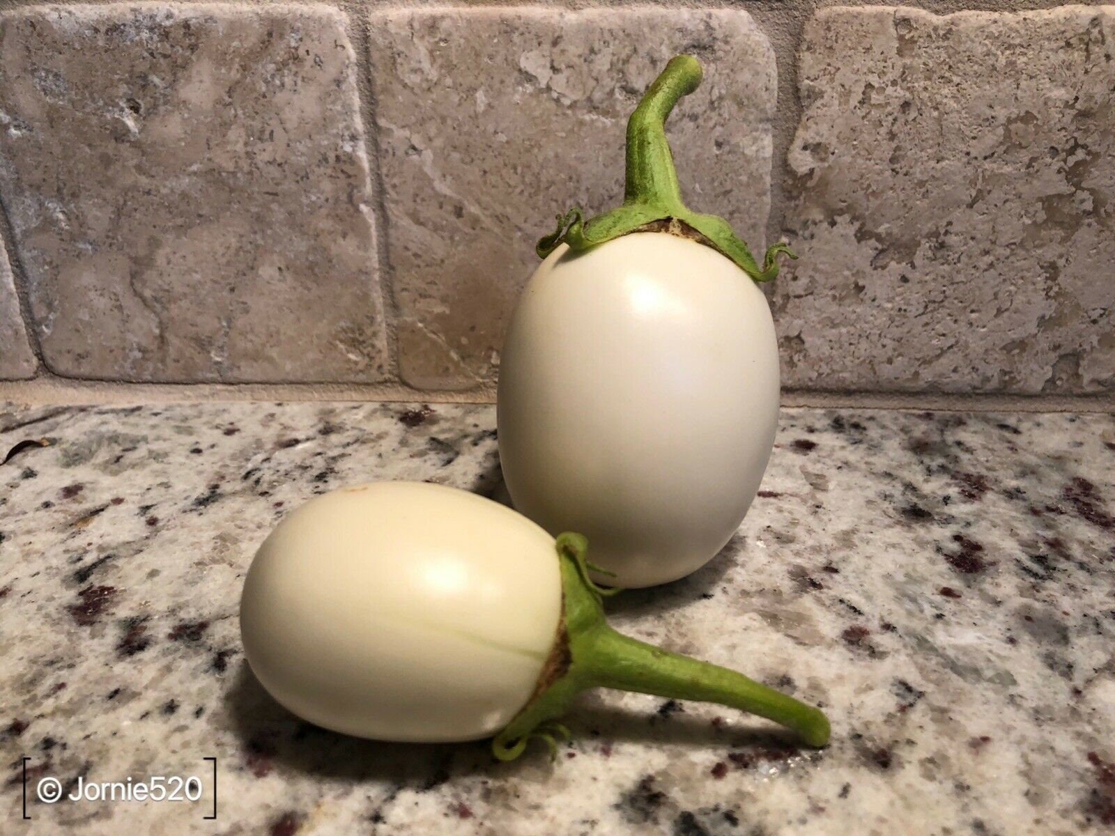 Rare Japanese White Eggplant Seed Garden Plant for Outdoor 118 Etsy