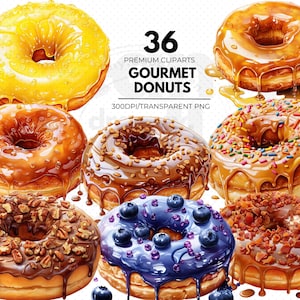 Donuts clipartbundel, schattige donut clipart, donut illustraties, donut aquarel clipart, bakkerij clipart, donut stickers, chocolade donuts