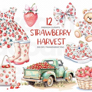 Strawberry Harvest Clipart Bundle, Watercolor Strawberry Clipart, Strawberry Bow, Cute Strawberry Clipart, Coquette Strawberry Clipart