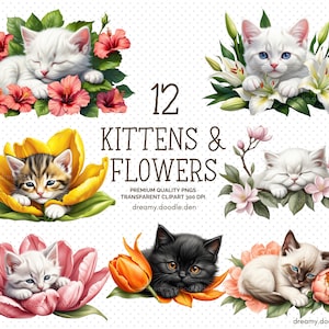 Kittens and Flowers Clipart Bundle, Spring Kittens, Watercolor Kitten graphics, Cute Kittens Clipart, Kitten PNGS, Flower Blossom PNGS