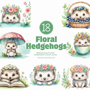 Pacote de clipart de ouriços florais, clipart de ouriços fofos, clipart de animais da floresta, clipart de ouriços caprichosos, floresta caprichosa png