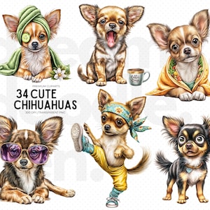 Zabawny pakiet Chihuahua Clipart, Chihuahua PNG, Sassy Dog Emotions, Pies urodzinowy, Naklejki do planera, Materiały do druku cyfrowego, Fantazyjne Chihuahua