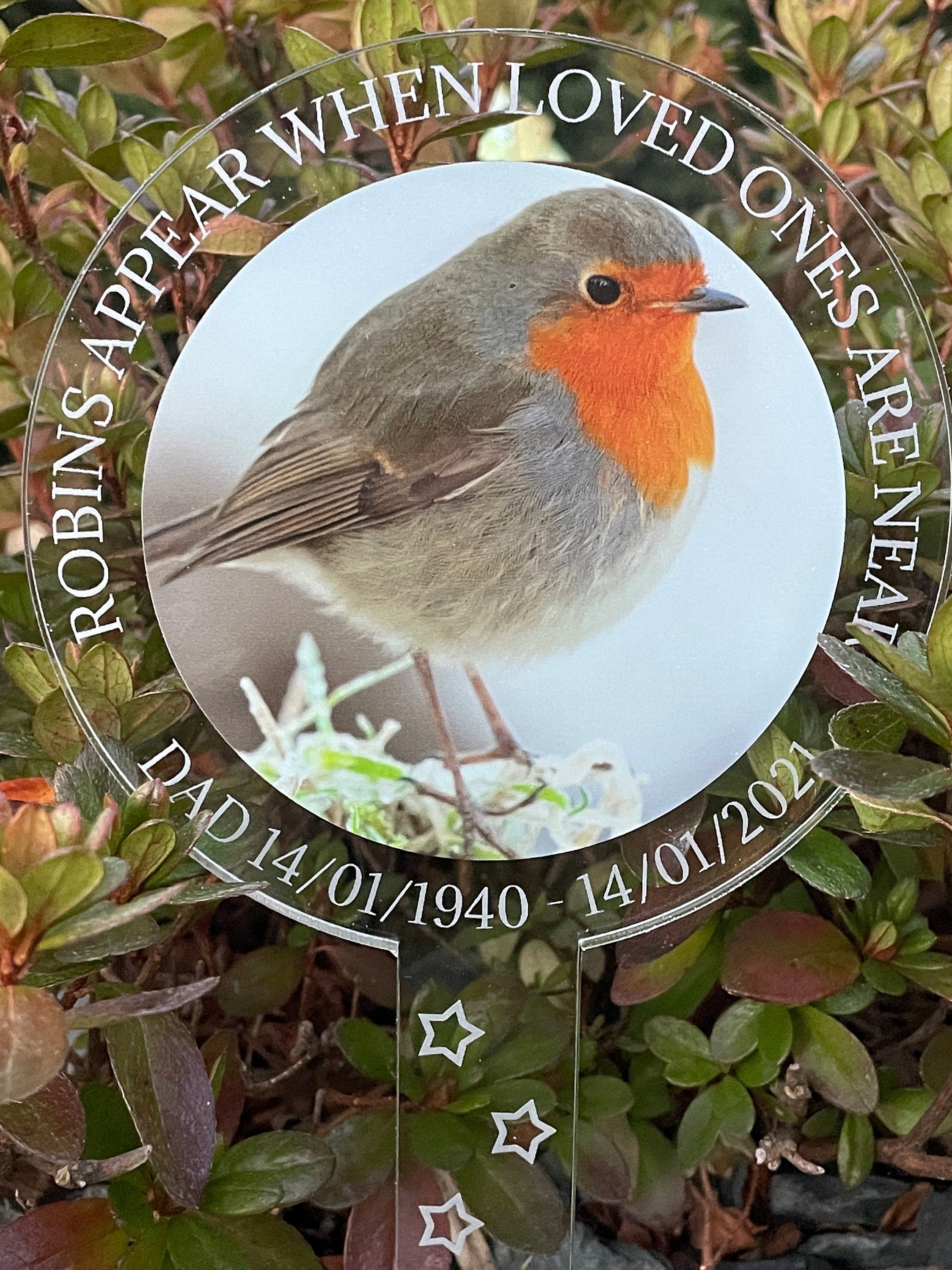 Robin Memorial Robins Appear When Loved Ones Are Near Plant Etsy