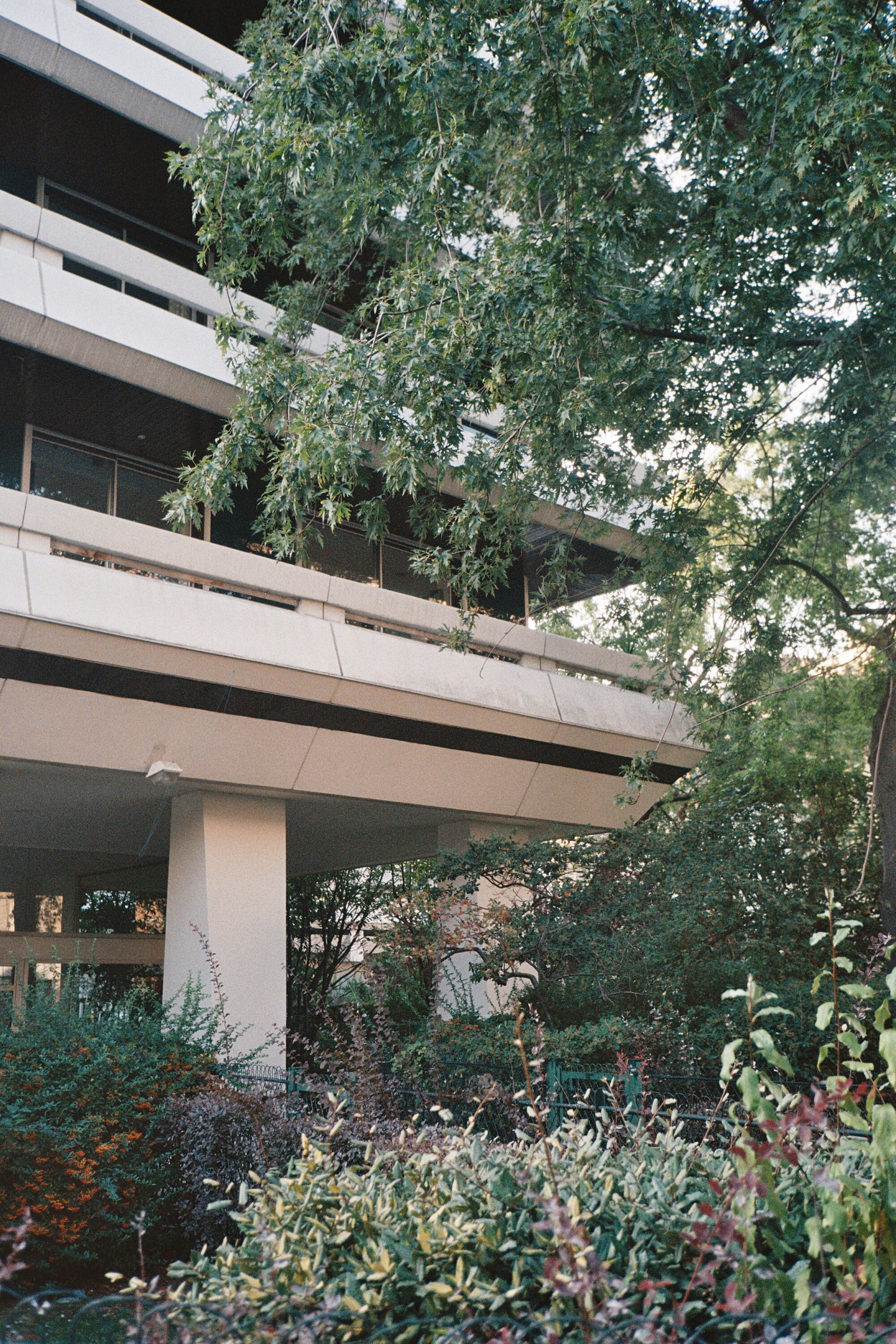 Photographie Argentique