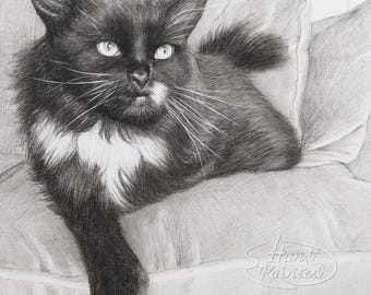 Pet portrait from photo, Personalized portraits for Dogs and Cats, Custom pencil drawing, Hand drawn pets, Pet memorial gift