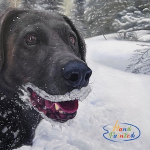 Pet Portrait Custom, Dog Painting from Photo, Realistic Pet Memorial Gift, Portrait Commission, Animal Oil Painting Art