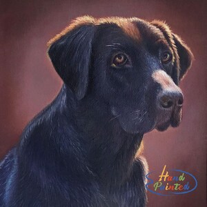 Custom Dog Oil Painting, 100% Hand-painted Pet Portrait, Photo to Painting, Handmade Pet Loss Memorial Gift, Dog Lover Gift Oil Painting