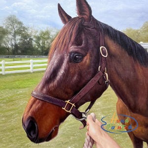Custom Painted Horse Models, Custom Horse Painting, Oil Portrait Handmade, Custom Pet Portrait, Personalized Pet Memorial Gift， Fine Brush
