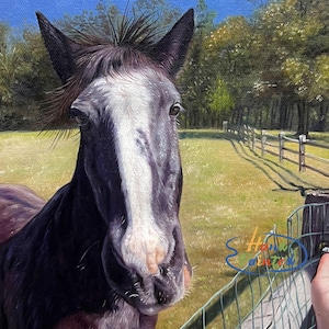 Custom Horse Painting, Hand Painted Horse Oil Painting, Commission Horse Portrait Canvas, Farm Animal Painting from Photo, Horse Lover Gifts