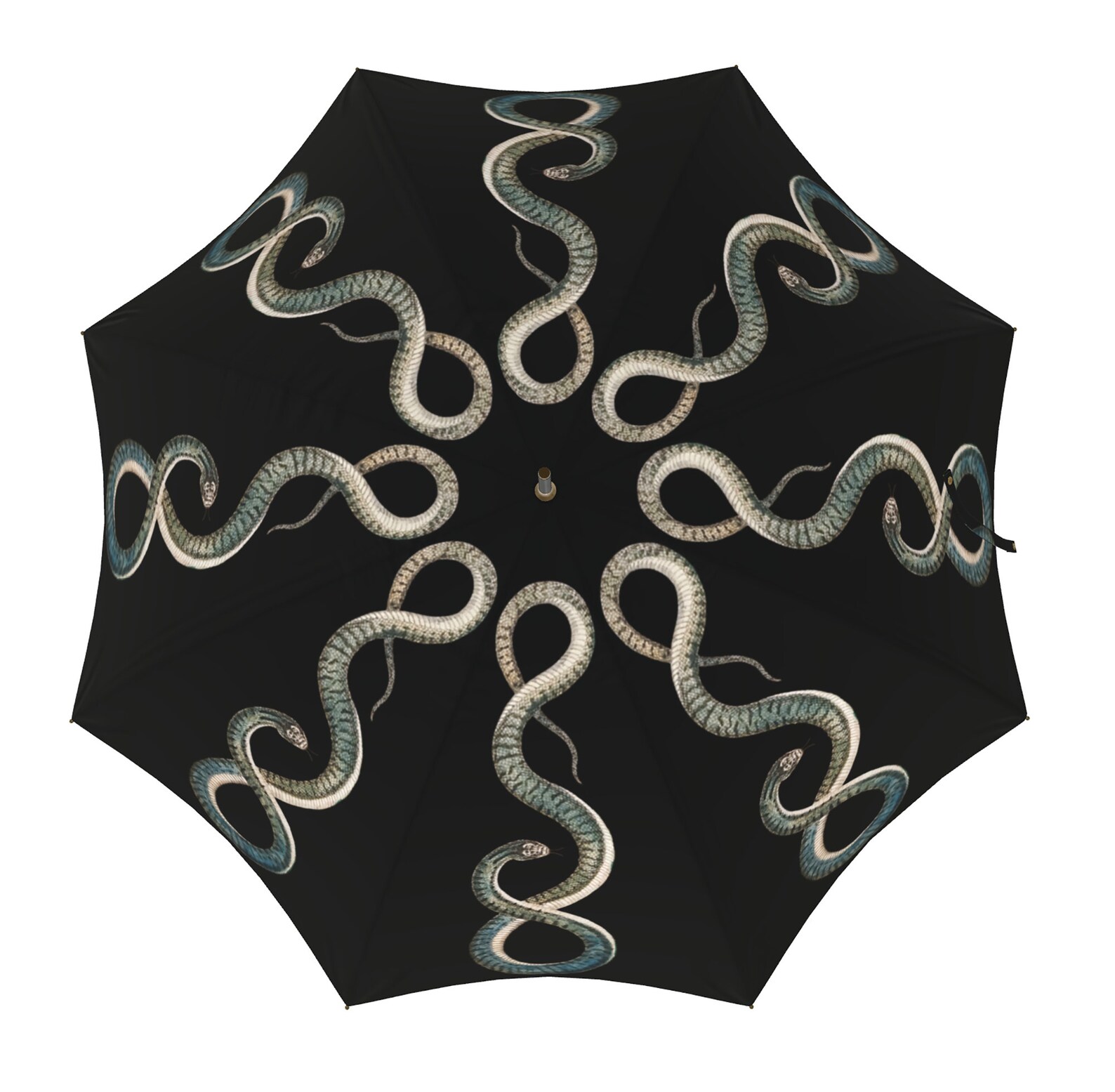 Black parasol viewed from above featuring a symmetrical ring of silver serpents coiled in elegant loops around the center