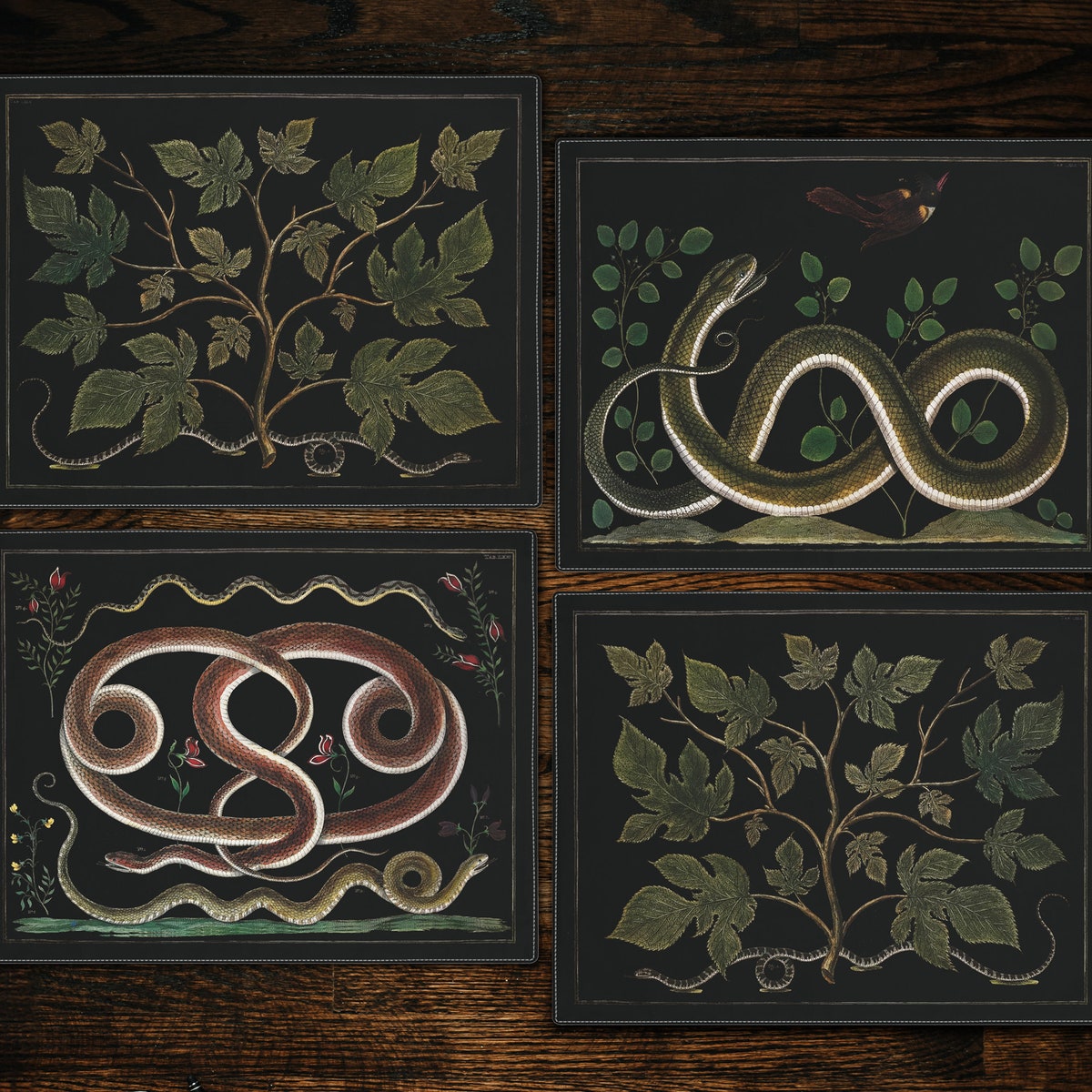 Scientific Serpents Cotton Placemats Assorted - Etsy