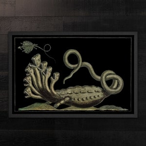 May include: Framed illustration of a multi-headed serpent-like creature with an elongated body and a long, coiling tail. The artwork features a black background and a detailed depiction of the mythical beast.
