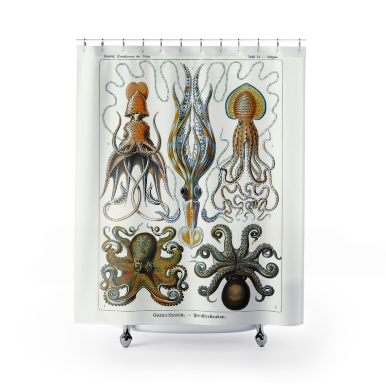 Antique Octopus Shower Curtain image 3