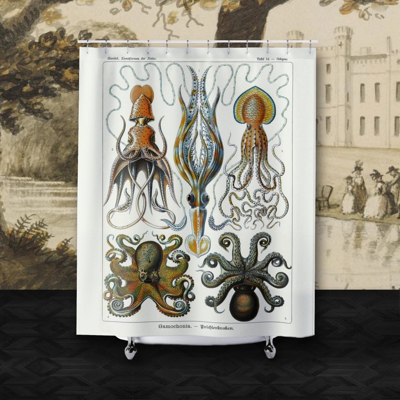 May include: A vintage illustration of four different types of octopus, including a squid, on a white background. The illustration is in a scientific style with detailed drawings of the octopus's tentacles, eyes, and bodies. The text "Gamochonia." is at the bottom of the illustration.