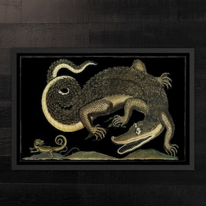 Antique Crocodile Doormat