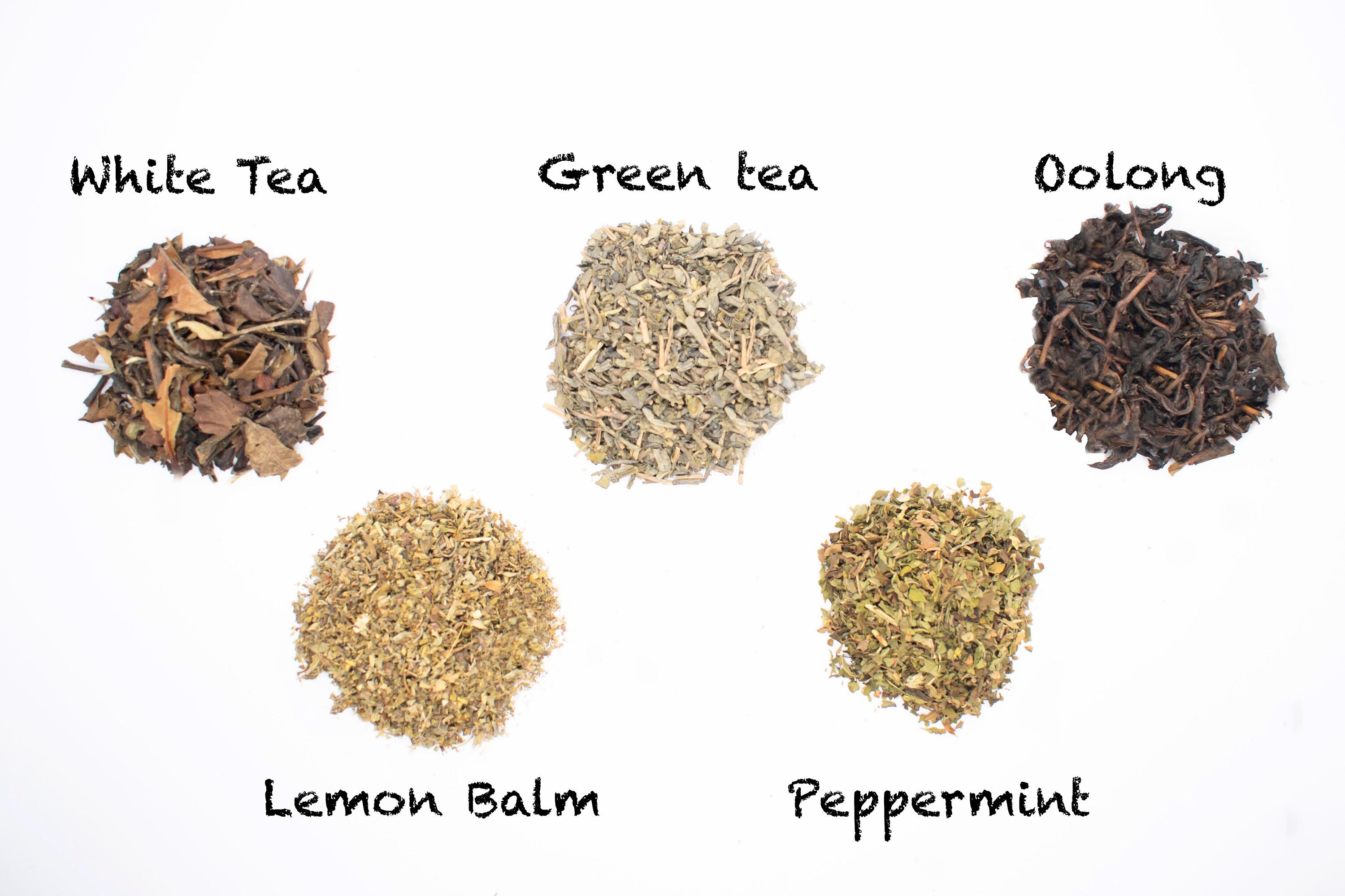 5 Tea Sample Pack Etsy