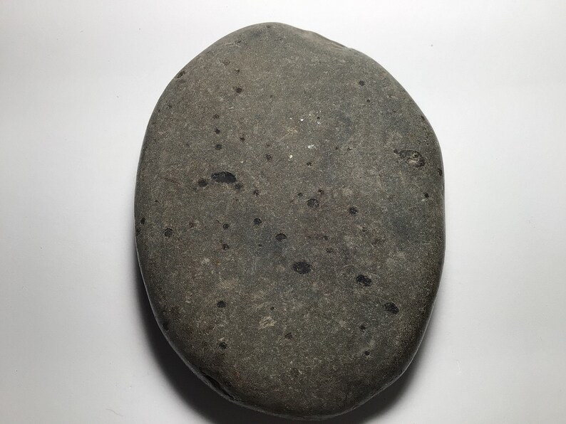 Dog Paw Print Hand Painted Stone Art