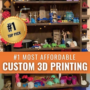 Custom 3D Printing - Anything You Can Think Of: Fast & Affordable 3D Prints