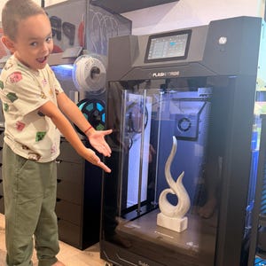May include: A black Flashforge 3D printer with a glass enclosure containing a white, abstract, flame-shaped sculpture on the print bed. The printer features a digital touchscreen interface at the top and visible internal mechanical components.