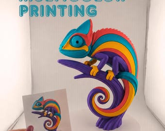 Custom Multicolor 3D Print Service, Full Color 3D Printing, Custom 3D Printed Gift, Figure & Sign, 4 Color FDM Bambu Print, Made to Order