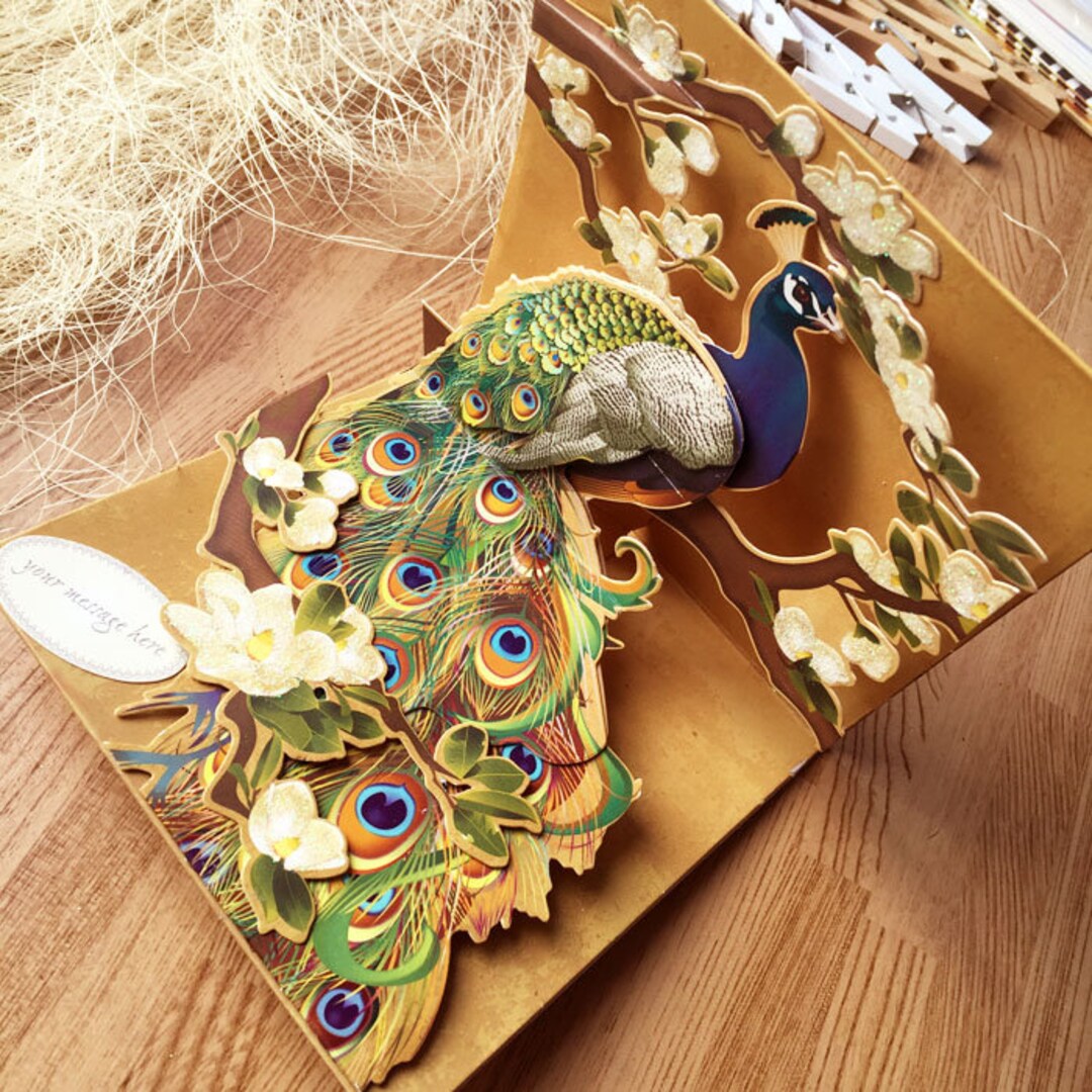 Colourful Peacock Pop up Card - Etsy