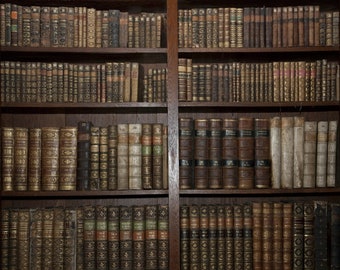 Bookshelf Backdrop Etsy Bookshelf Backdrop Etsy