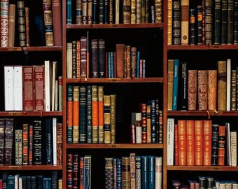 Bookcase Backdrop Etsy Bookcase Backdrop Etsy