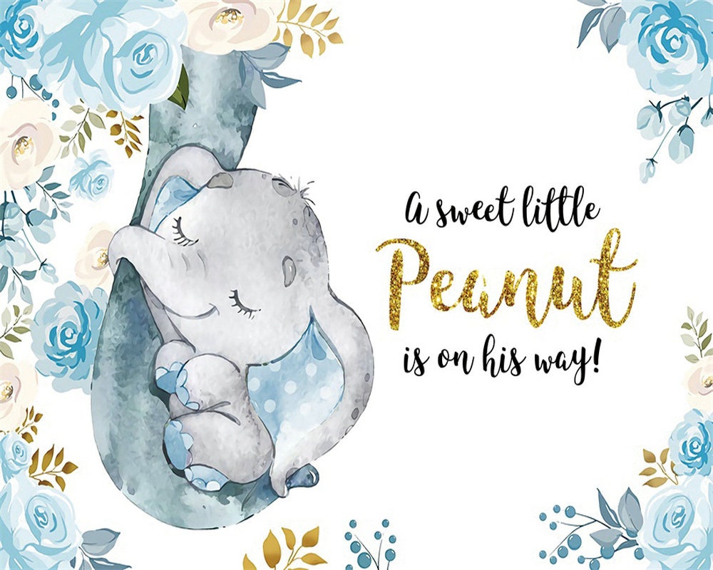 A Sweet Little Peanut Is on the Way Backdrop for Baby Shower | Etsy