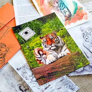 May include: A collection of postcards and stationery featuring tiger illustrations. The postcards include a photograph of a tiger resting on a log, watercolor paintings, and pencil sketches. Some postcards have the text "POSTMARKED BY NATURE".