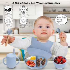 Ultimate 6-Piece Silicone Baby Feeding Set - Perfect for Baby Led Weaning with Suction Bowl, Divided Toddler Plate, Spoon, Fork, and Bib!