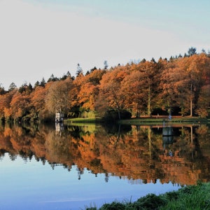 Reflection on the water