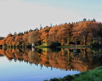 Reflection on the water
