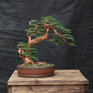Big Tree With 19 Inches Tall, Art Wire Bonsai Tree Sculpture With Dark Green Leaves. Special Gift For Parents. For Home Decoration.