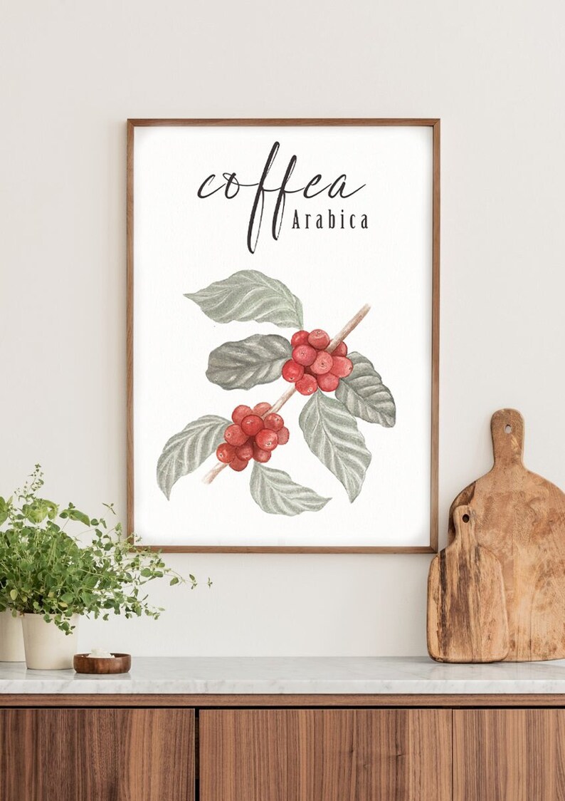 Puede incluir: Una impresi&oacute;n enmarcada con una ilustraci&oacute;n de acuarela de granos de caf&eacute; en una rama con hojas verdes. El texto "coffea Arabica" est&aacute; escrito en letra cursiva negra.