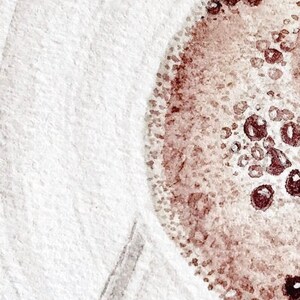 May include: Abstract watercolor painting with a white background and a brown, textured circle in the lower right corner.