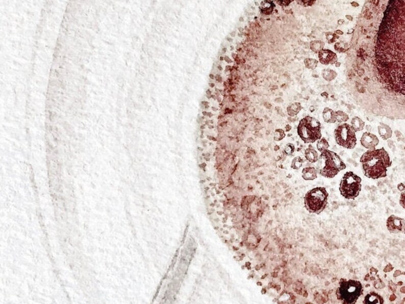 May include: Abstract watercolor painting with a white background and a brown, textured circle in the lower right corner.