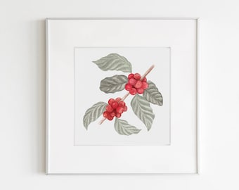 Coffee plant art print, coffee art poster coffea arabica coffee painting botanical kitchen art wall decor download gift