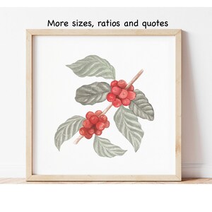 Puede incluir: Pintura acuarela de una rama de caf&eacute; con hojas verdes y granos de caf&eacute; rojos.