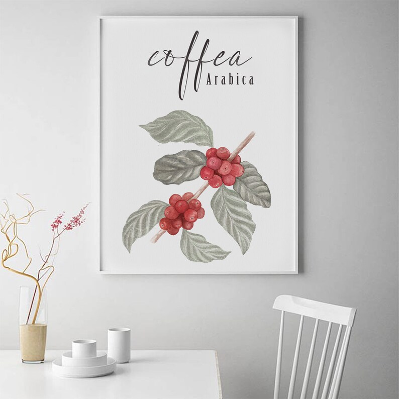 Puede incluir: Una impresi&oacute;n enmarcada en blanco con una ilustraci&oacute;n de acuarela de una rama de caf&eacute; con bayas rojas. El texto "Coffea Arabica" est&aacute; escrito en letra cursiva negra.