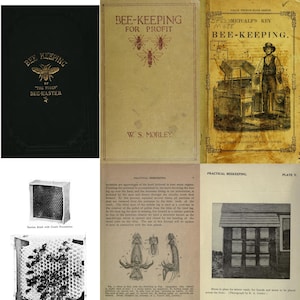 vintage bee keeping book collection - apiary, beekeeping, apiculture, Rare bee-keeping ebooks. 126 pdfs