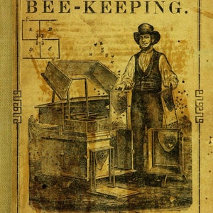 Vintage Bee Keeping Book Collection - Apiary, Beekeeping, Apiculture ...