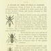 Vintage Bee Keeping Book Collection - Apiary, Beekeeping, Apiculture ...