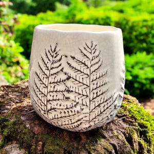 May include: White ceramic planter with a fern design. The planter has a textured surface and a slightly rounded shape.